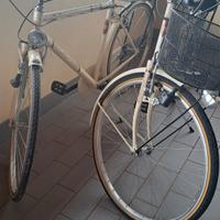 coppia biciclette holland crown 