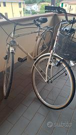 coppia biciclette holland crown 