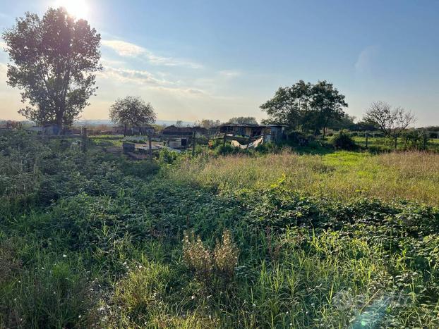 terreno agricolo di 1000 mq