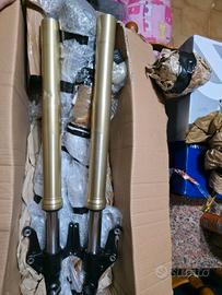 steli forcelle per triumph street triple 