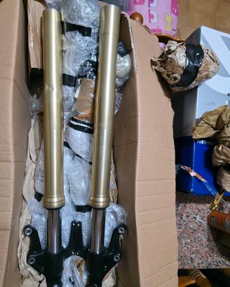 steli forcelle per triumph street triple 