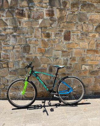 Bicicletta mountain bike ” Rollmar SUPREMA” 26
