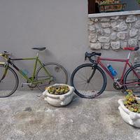 n. 2 bici da corsa usate
