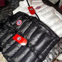 Smanicato Canada Goose