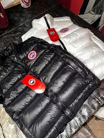 Smanicato Canada Goose