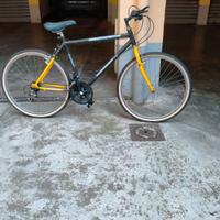 Bicicletta Mountain bike da uomo Fausto Coppi