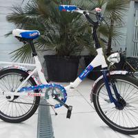 Bicicletta Regina pieghevole limited edition 