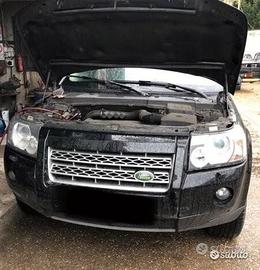 Freelander 2010 ricambi