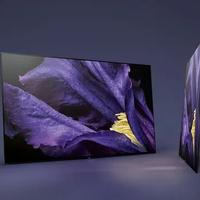 SONY TV OLED 55AF9 PANNELLO KO X PEZZI DI RICAMBIO