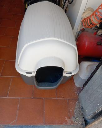 cucce più separé macchina 