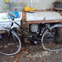 bici donna con cambio