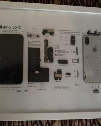 IPHONE XS TEARDOWN ART  - QUADRO COMPONENTI APPLE