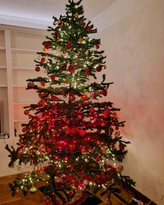 Albero di natale 3 metri