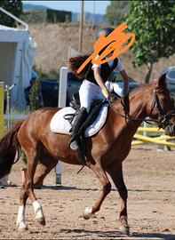 Pony femmina
