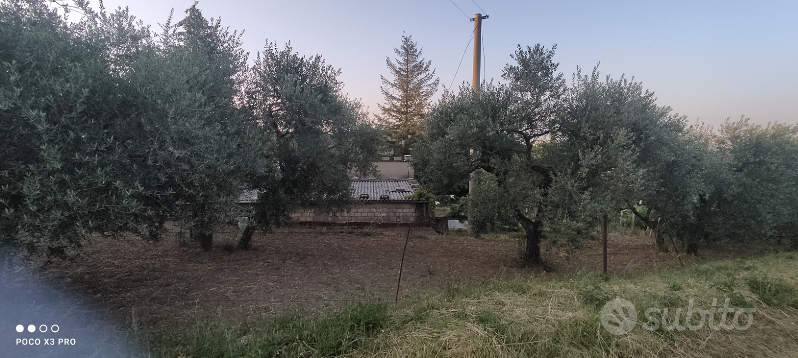 Fabbricato con Vigneto uliveto - Vista 4