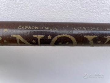 Canna da pesca carbonio 5m