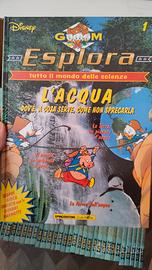 collezione libri paperino 