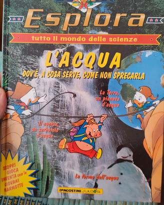 collezione libri paperino 