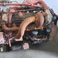 Motore iveco 115.17 / 135.17 / 145.17 (8060.25)