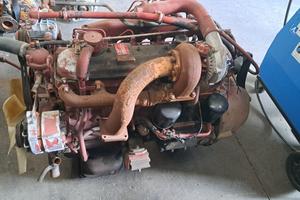 Motore iveco 115.17 / 135.17 / 145.17 (8060.25)