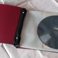 Raccoglitore per dischi in buste con custodia