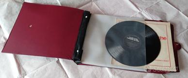 Raccoglitore per dischi in buste con custodia