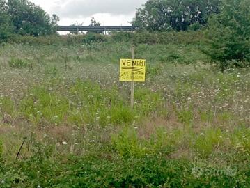 Terreno agricolo Petacciato