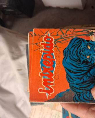 riviste  varie anni 60