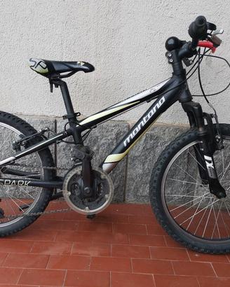 Bicicletta mtb bambino 20 pollici 