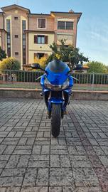 Honda CBR 954rr fireblade 