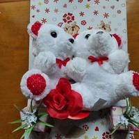 Peluche con confezione  decorata 