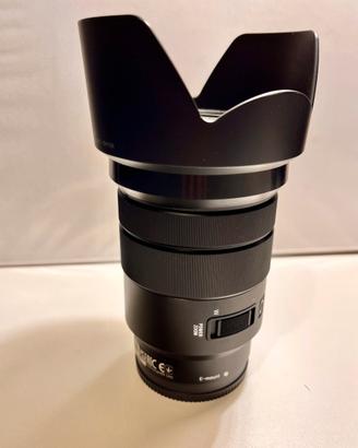 Obiettivo Sony E 18-105 mm f/4 G OSS - Perfetto