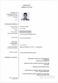Tutto fare operaio