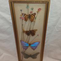 quadro