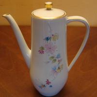 Hutschenreuther caffettiera Eleganz numerata