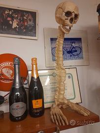 scheletro scaccia fantasmi
