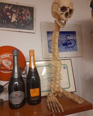 scheletro scaccia fantasmi