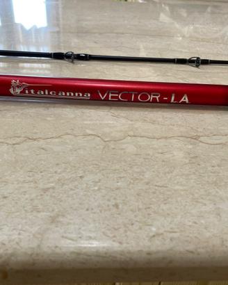 Canna Italcanna vector la