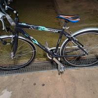 mountain bike da uomo