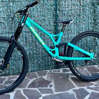 Specialized Demo29