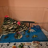 acquario per tartarughe/pesci 25 X 50