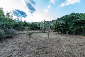 Rustico/Casale/Corte - Giarre