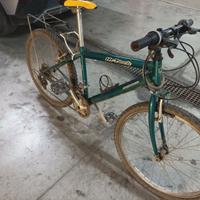 Bicicletta taglia piccola 24
