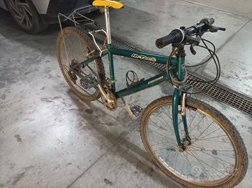 Bicicletta taglia piccola 24