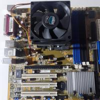 Scheda madre Asus A8NE-FM/S