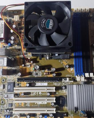 Scheda madre Asus A8NE-FM/S