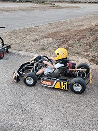 KART  DELFINO MINI 35 CC
