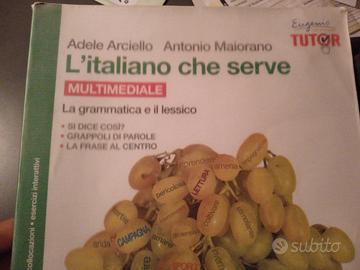 libro Italiano " L'italiano che serv "