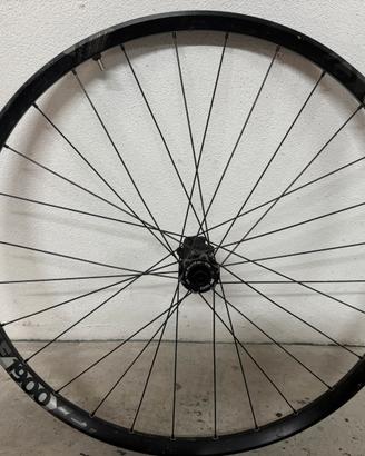 Cerchio DT Swiss 29”