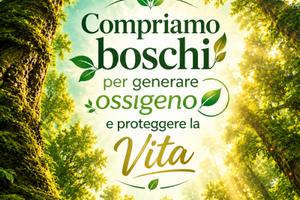 Terreni boschivi in provincia di PN compriamo